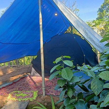 Freedom Camp Ella Hotell Exteriör bild